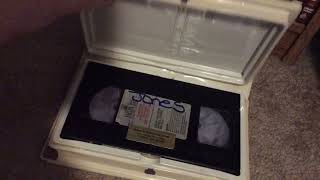 My looney tunes vhs collection part 1 road to 1k [upl. by Shaylah]