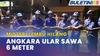 HAIWAN LIAR  Penduduk Lega Ular Sawa Baham Ternakan Ditangkap [upl. by Bonnie]