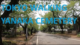 TOKYO WALKING YANAKA CEMETERY 谷中霊園ぶらり歩き [upl. by Ielhsa428]