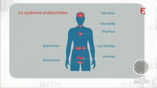 Actu plus  Les perturbateurs endocriniens [upl. by Ahsinat]