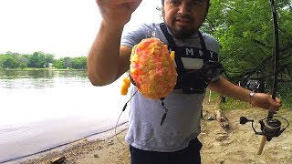 Consejos para pescar CARPAS  pescando carpas con maiz [upl. by Esyned]