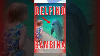 Il DELFINO è la Bambina acquario delfini shorts delfino delfini [upl. by Olsen]