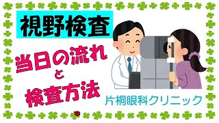 視野検査の流れと検査方法【東戸塚 片桐眼科クリニック】 [upl. by Llertnek]