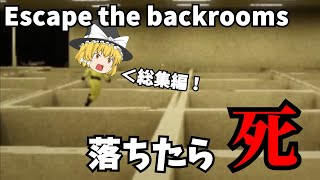 【一気見総集編】霊夢達がBackroomsに迷い込んだ結果 [upl. by Lunetta]