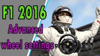 F1 2016  Advanced Wheel settings [upl. by Leahciam46]