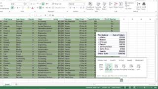 How to Use Pivot Tables in Excel 2013 For Dummies [upl. by Anna-Diana]