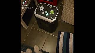 Warm amp Cozy My Dog Loves the Heater 🐶🔥 CozyDog DogLife CutePets puppy dogs [upl. by Nyre]