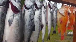 Kodiak Island Alaska Fishing King Salmon Halibut Yelloweye Black Bass [upl. by Komara]