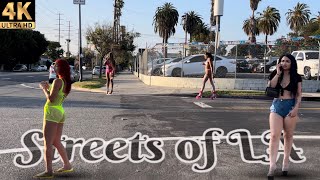 The Streets of LA  Figueroa Street  Part 2  Los Angeles Ca 4K [upl. by Haceber]