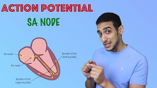 SA node Action potential شرح بالعربي [upl. by Burn]