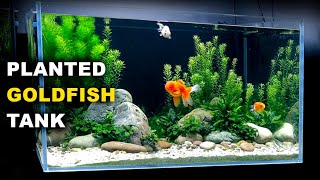 Aquascape Tutorial PLANTED GOLDFISH Aquarium The ORanchu Crew How To Full Step By Step Guide [upl. by Eicram]