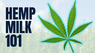 Hemp Milk 101 Pros amp Cons You Need to Know [upl. by Bellaude875]