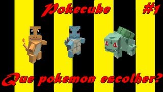 Minecraft  Pokecube 1  Que pokemon escolher [upl. by Aicenav]