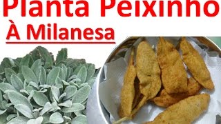 Planta Peixinho á Milanesa Será que tem mesmo gosto de peixe Assista e Descubra [upl. by Perice]