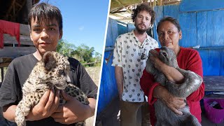 Las curiosas mascotas de la gente de la selva amazónica  ¿Cómo viven [upl. by Eceinal]