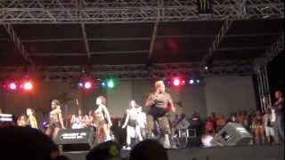 Denise Belfon  Saucy  Wining Queen Live  Army Fete 2013 [upl. by Halley466]