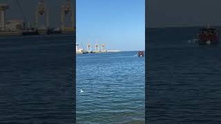 Muttrha corniche Oman Muscat By HashTagLife ShortVideo ShortStories [upl. by Artemed]