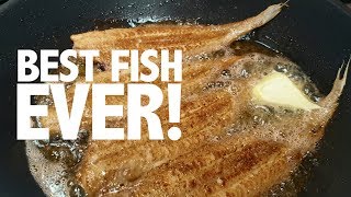 How to cook and prepare the perfect Dover sole  Classic a la meunière recipe [upl. by Sandro217]