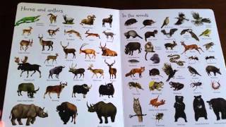 1000 Animals Usborne Books and More [upl. by Rima]