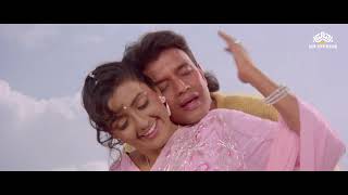 Hum Teri Mohabbat Mein  Phool Aur Angaar 1993 Mithun Chakraborty  Shantipriya  Kumar Sanu Hits [upl. by Oterol]