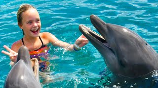 We Play with Dolphins on a Tropical Island Kids Fun TV [upl. by Bhatt826]