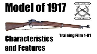 Model 1917 Characteristics and Features TF 101 [upl. by Osrock797]