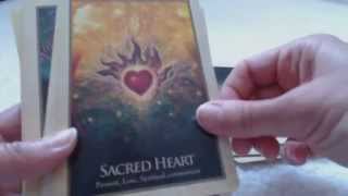 Traceyhds Review of the Gaia Oracle Cards by Toni Carmine Salerno [upl. by Eilzel845]