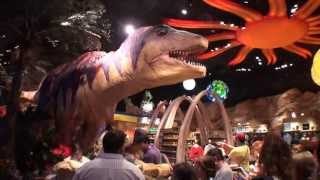 Walt Disney World Downtown Disney TREX Cafe 1080P [upl. by Tiffie]