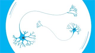 What causes Parkinsons [upl. by Ingelbert]