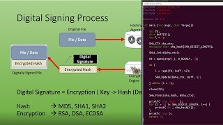 Hashing Encryption Decryption Digital Signature Signing Verification Openssl Pkcs7 [upl. by Reifnnej902]