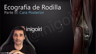 ECOGRAFÍA DE LA RODILLA PARTE 3 CARA POSTERIOR [upl. by Ainehs]