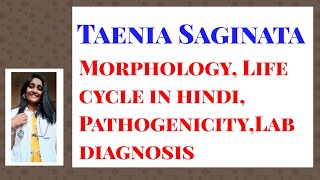 Taenia Saginata Morphology Life cycle in hindi PathogenicityLab diagnosis [upl. by Ahseenal247]