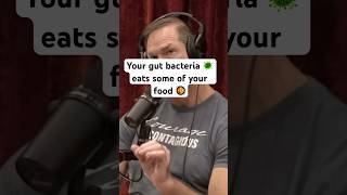 Your gut bacteria actually eat some of your food🦠🦠🥝🥝 [upl. by Andrej]