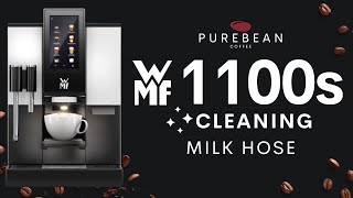 WMF1100s  Cleaning Milk Hose [upl. by Geer565]