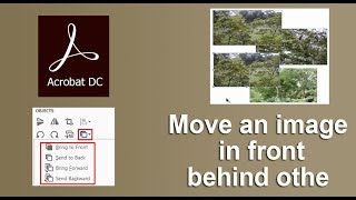 How to Move an image or object in front or behind other in Adobe Acrobat Pro [upl. by Harmonia694]