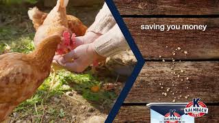 Kalmbach Feeds for Healthier Happier Hens [upl. by Enrique]