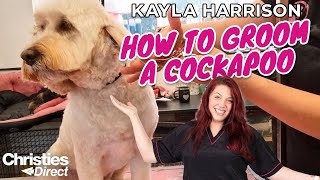 Kayla Harrison How to Groom a Cockapoo [upl. by Mignon]