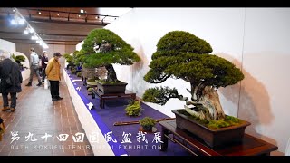 94th Kokufuten Bonsai Exhibition  第94回国風盆栽展 [upl. by Pietrek]