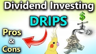 Dividend Investing Pros and Cons of DRIPS Dividend Reinvestment Plans [upl. by Nyved]