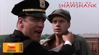 Skazani na Shawshank 1994  Smołowanie dachu [upl. by Medin]