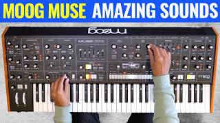 Moog Muse Full Sound Tour 🚀 No Talking [upl. by Micki]