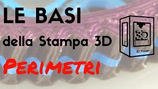 Le basi della stampa 3D  Perimetri  Loop [upl. by Jahdal]