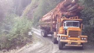 Pacific p16 Loaded in Tahsis October 2012 [upl. by Rust]