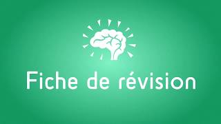 Faire une fiche de révision en Physique Chimie [upl. by Anegroeg]