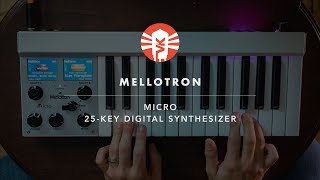 Mellotron Micro  Synthesizer  Vintage King [upl. by Eeladnerb]