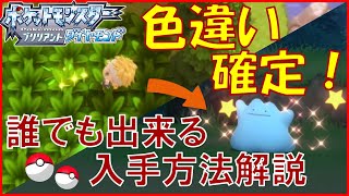 【解説】色違い確定を出す方法を解説【ダイパリメイク】 [upl. by Aehsel]