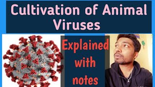 Virology8 Cultivation of VirusesAnimal virusesBScMScICARNETCSIRNETRohit Shankar Mane [upl. by Spear]