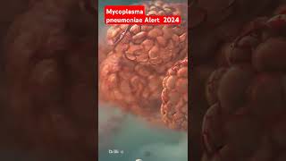 Mycoplasma pneumoniae alert science medicalanimation lunginfection doctor anatomy biology [upl. by Asta]