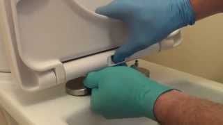 How to fix a loose toilet seat [upl. by Narut]