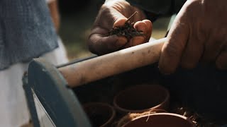 Voelkel erklärt  Biodynamische Bodenaufbereitung im Frühling [upl. by Riada]